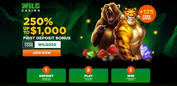 McLuck Casino Jackpot Slots Review: How Players Actually Engage With Big-Pool Games
